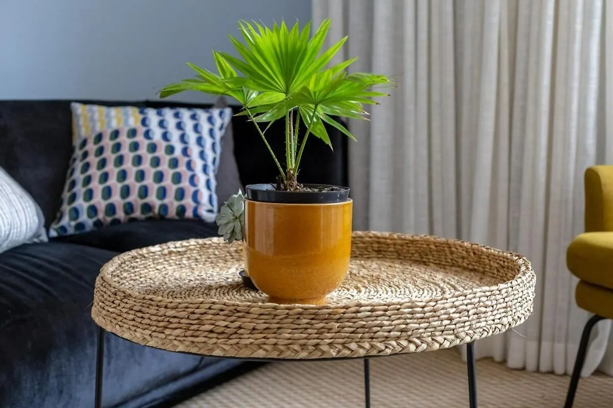 Apartment Elegant City Pad Cape Town